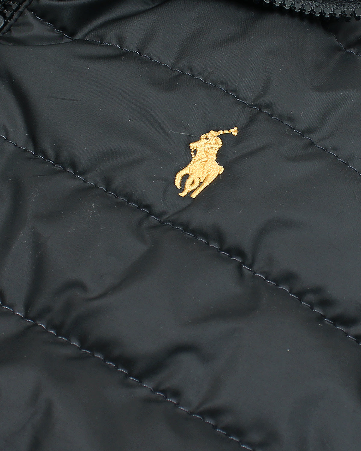 Men's Pony Gillet - Black