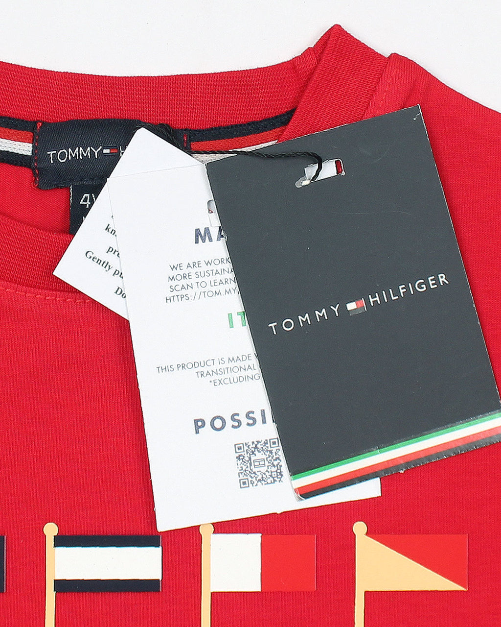 Exclusive Hilfiger Flag KIds Tracksuit - Red