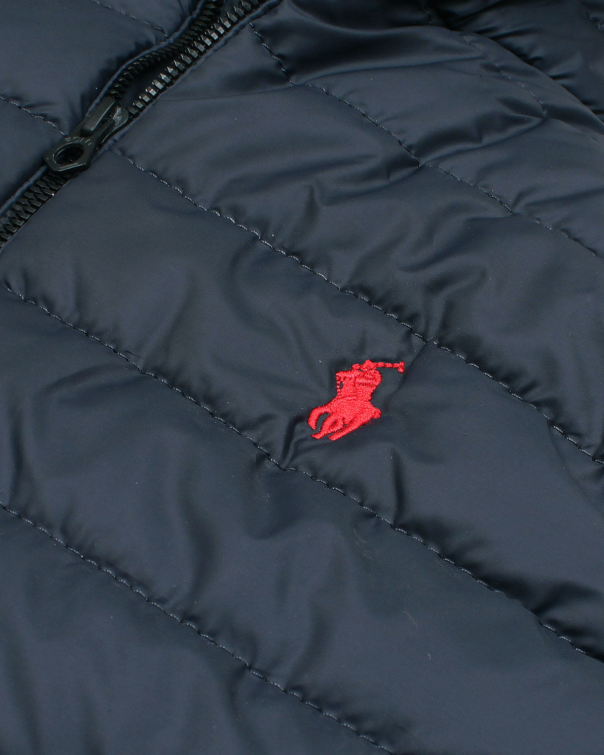 Men's Pony Gillet - Navy Blue