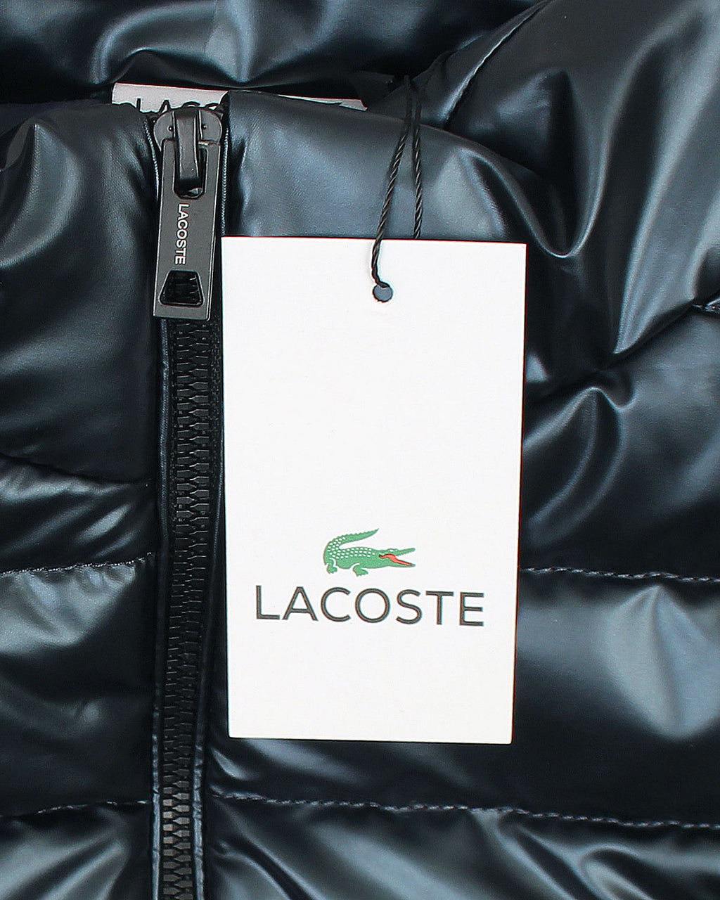 Premium Mens Quilted Nylon L-C-O-S-T Gillet - Black