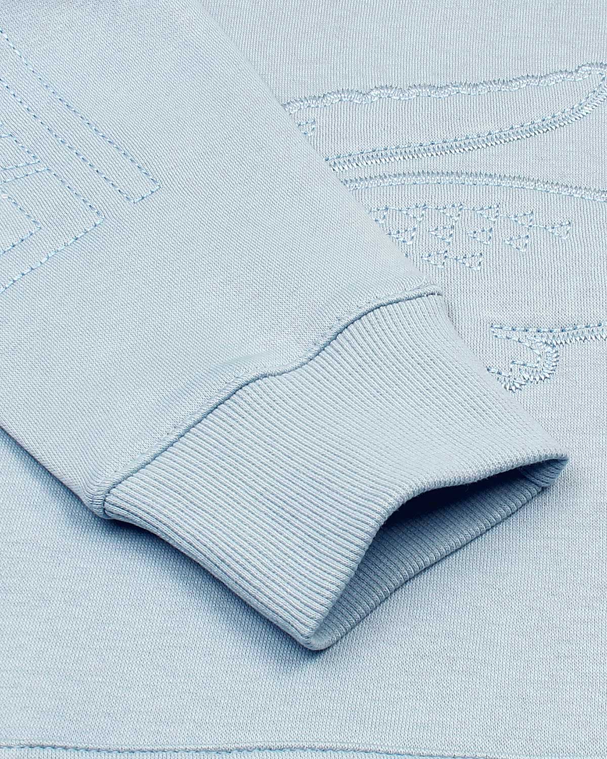 Exclusive L-S-C-T Embossed Mens Hoddie - Sky Blue